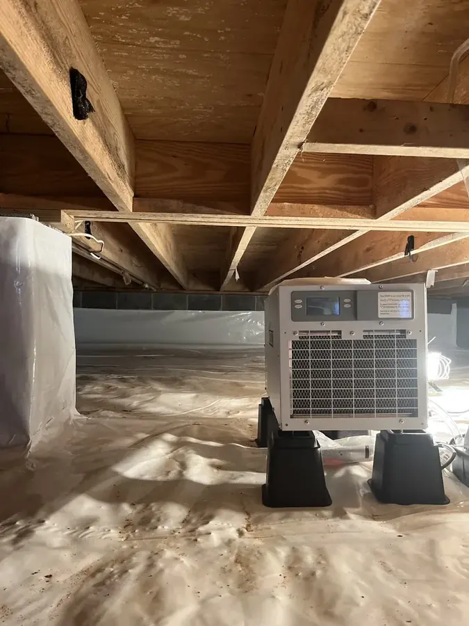 Crew drying a storm-damaged Grovetown home