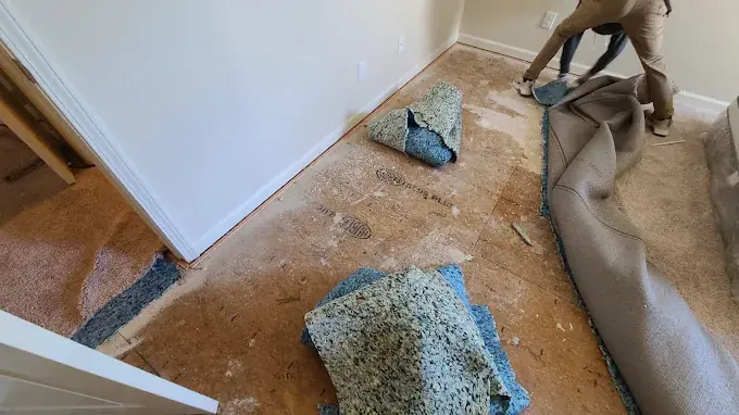 Pulling wet carpet and padding from a flooded basement in Evans, GA