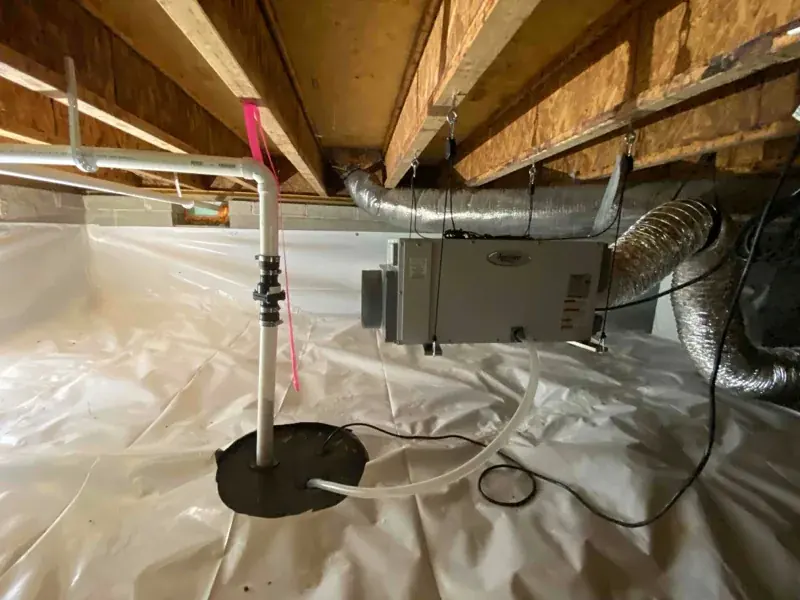 Sump Pump Failure Cleanup in Grovetown, GA
